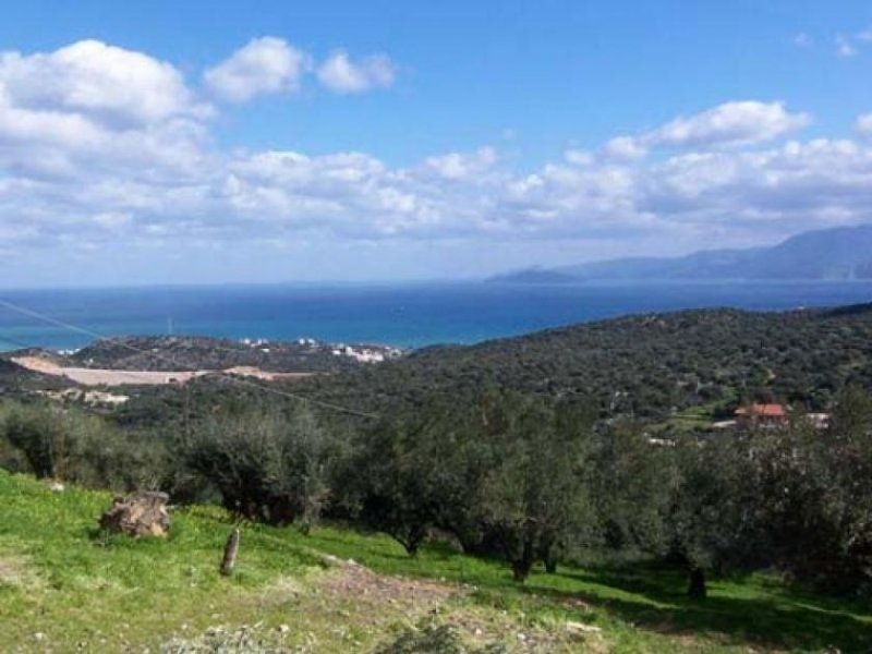 Agios Nikolaos Kreta, Agios Nikolaos: Grundstück auf dem Land mit Panoramablick auf das Meer Grundstück kaufen